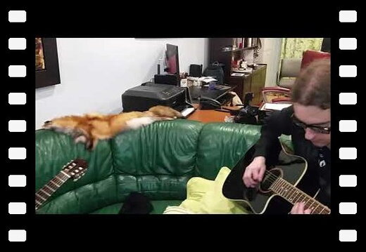 Santiago et François improvisent à la guitare